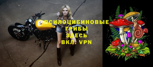 mdpv Армянск
