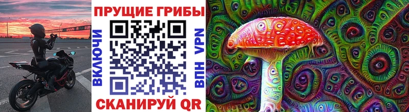 Псилоцибиновые грибы Cubensis Купить где Большой Камень